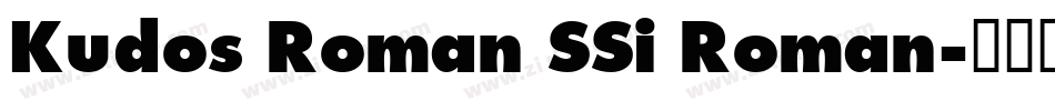 Kudos Roman SSi Roman字体转换